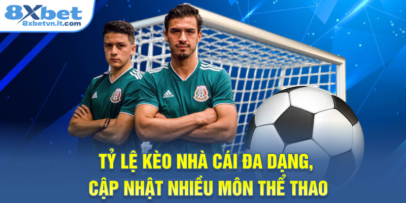 Tỷ lệ kèo nhà cái đa dạng, cập nhật nhiều môn thể thao